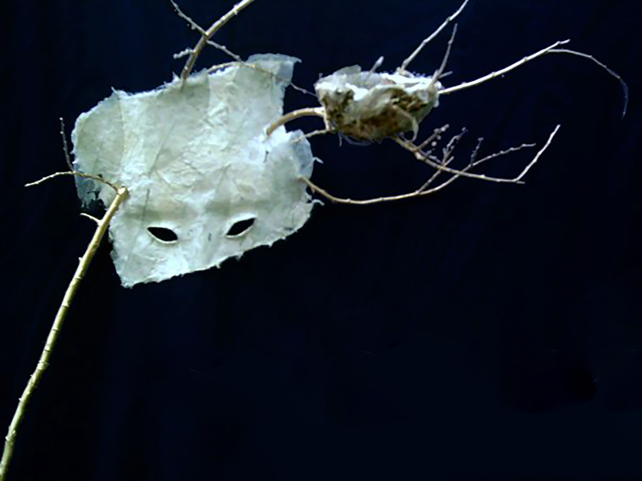 A hand made paper mask and nest on a branch